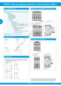 4230-T130-K0DU-8A Datasheet Page 2