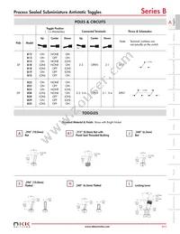 B2RKH-AG Datasheet Page 4
