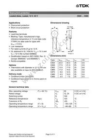 B59945C0120A051 Datasheet Page 2