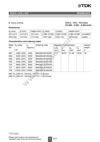 B64290L0618X035 Datasheet Page 2