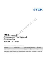 B65807N0200A048 Datasheet Cover