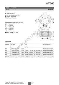 B65807N0200A048 Datasheet Page 11