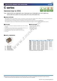 C1005X6S0J224M050BC Datasheet Page 3