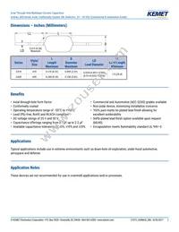 C430C225K3N5TA91707200 Datasheet Page 2