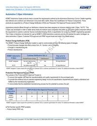 CA064C100K4GACTU Datasheet Page 2