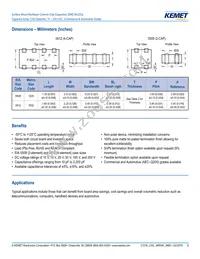 CA064C100K4GACTU Datasheet Page 3