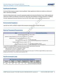 CA064C100K4GACTU Datasheet Page 4