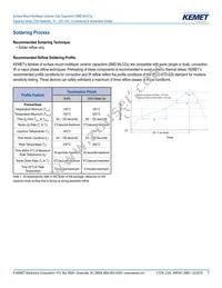 CA064C100K4GACTU Datasheet Page 7