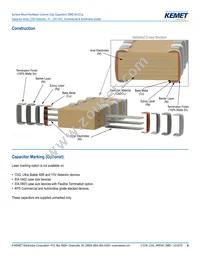 CA064C100K4GACTU Datasheet Page 9