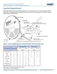 CA064C100K4GACTU Datasheet Page 10