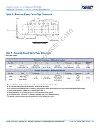 CA064C100K4GACTU Datasheet Page 12