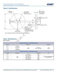 CA064C100K4GACTU Datasheet Page 14