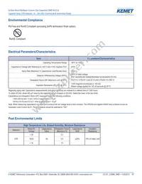 CA064C561K2RACTU Datasheet Page 3