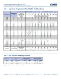 CA064C561K2RACTU Datasheet Page 4