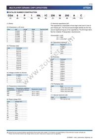 CGA4C4NP02W391J060AA Datasheet Page 4