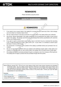 CGA6P2NP01H104J250AA Datasheet Page 2