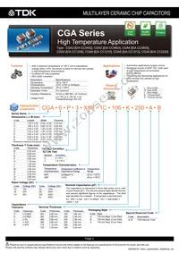 CGA6P2NP01H104J250AA Datasheet Page 3