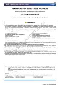 CGA6P3X8R1C106K250AE Datasheet Page 2