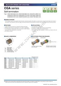 CGA6P3X8R1C106K250AE Datasheet Page 3