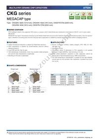 CKG57NX7R1E107M500JJ Datasheet Page 3