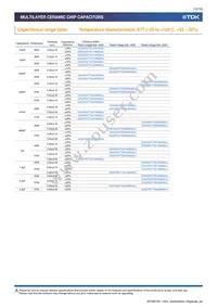 CKG57NX7R1E107M500JJ Datasheet Page 12