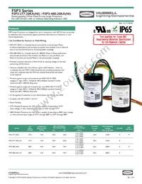 FSP3-277-20KA-NI Datasheet Cover