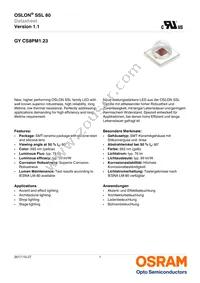 GY CS8PM1.23-KPKR-36 Datasheet Cover