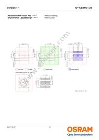 GY CS8PM1.23-KPKR-36 Datasheet Page 12