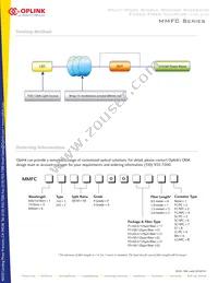 MMFC8150P001211 Datasheet Page 2