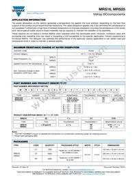 MRS25000C6204FC100 Datasheet Page 2