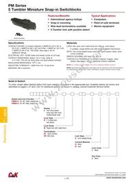 PM061UEBMWCKQTT Datasheet Cover