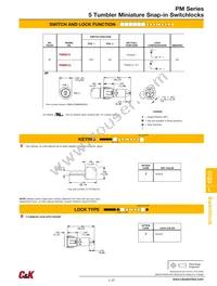 PM061UEBMWCKQTT Datasheet Page 2