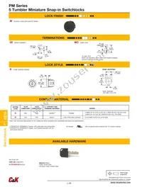 PM061UEBMWCKQTT Datasheet Page 3