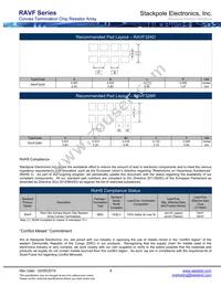 RAVF164DGT10M0 Datasheet Page 4