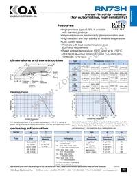 RN73H1ETTP1002C10 Datasheet Cover