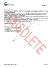 S40410161B1B2W013 Datasheet Page 3