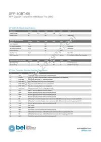 SFP-1GBT-06 Datasheet Page 2