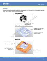 XHGAWT-02-0000-00000HXE1 Datasheet Page 12