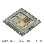 SBM-160-RGBW-H41-RD100