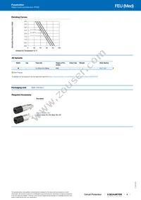 0031.1757 Datasheet Page 3