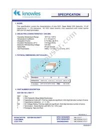 0201BN100J500YT Datasheet Cover