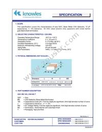 0201BN101J500NGT Datasheet Cover