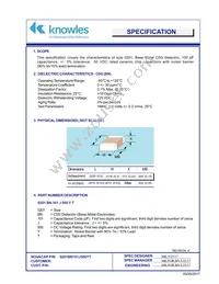 0201BN101J500YT Datasheet Cover