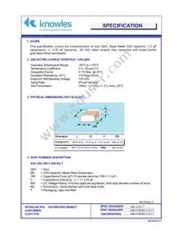 0201BN1R0C500NGT Datasheet Cover