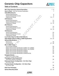 05045C821KAT1A Datasheet Page 2