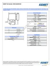 05HV11B223KCM Datasheet Cover