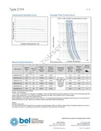 0685H9300-01 Datasheet Page 2