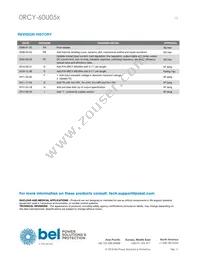 0RCY-60U050 Datasheet Page 13
