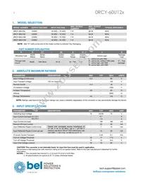 0RCY-60U12L Datasheet Page 2