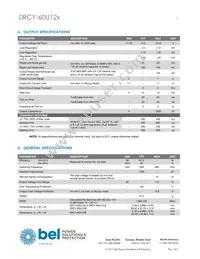 0RCY-60U12L Datasheet Page 3